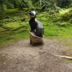 Gortin Glen Forest Park - Tyrone