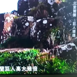 Omagh Leisure Complex - Tyrone