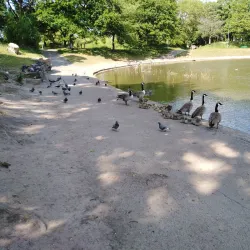 Central Park - Wallasey