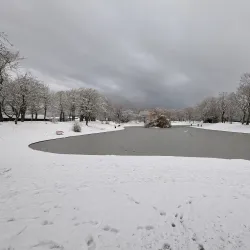 Central Park - Wallasey