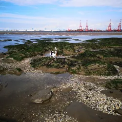 New Brighton Lighthouse - Wallasey