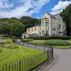 Vale Park - Wallasey