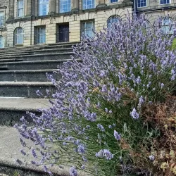 Wallasey Town Hall - Wallasey