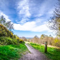 Barr Beacon - Walsall