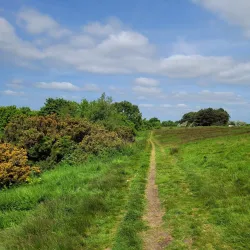 Barr Beacon - Walsall