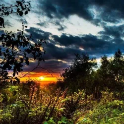 Barr Beacon - Walsall