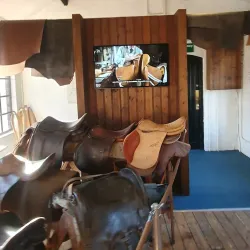 Walsall Museum - Walsall