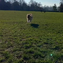 Battersea Park - Wandsworth