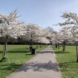 Battersea Park - Wandsworth