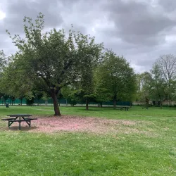 King George's Park - Wandsworth