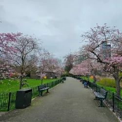 King George's Park - Wandsworth