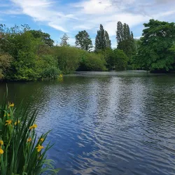 Wandsworth Common - Wandsworth