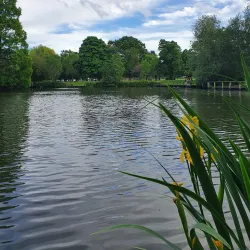 Wandsworth Common - Wandsworth