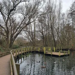 Wandsworth Common - Wandsworth