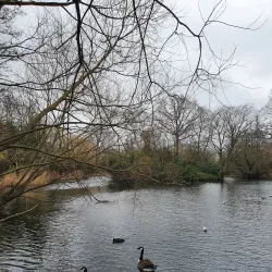 Wandsworth Common - Wandsworth