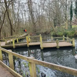 Wandsworth Common - Wandsworth