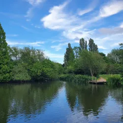 Wandsworth Common - Wandsworth