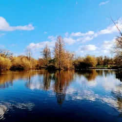 Wandsworth Common - Wandsworth