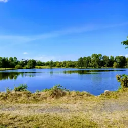 Tannaghmore Gardens and Animal Farm - Waringstown