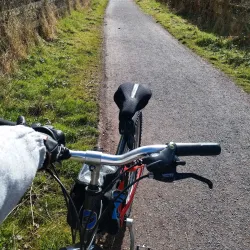 The Ulster Canal - Waringstown
