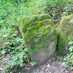 Culcheth Linear Park - Warrington