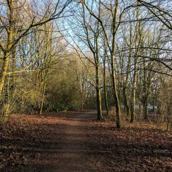 Culcheth Linear Park - Warrington