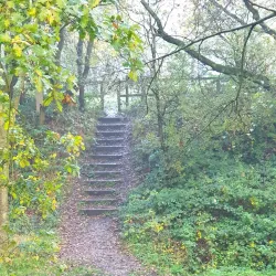 Culcheth Linear Park - Warrington