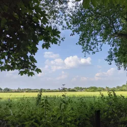 Culcheth Linear Park - Warrington