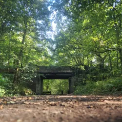 Culcheth Linear Park - Warrington