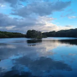Moore Nature Reserve - Warrington