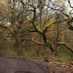 Moore Nature Reserve - Warrington