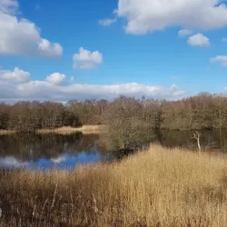 Moore Nature Reserve - Warrington