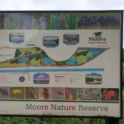 Moore Nature Reserve - Warrington