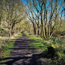 Moore Nature Reserve - Warrington