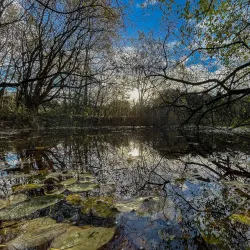 Moore Nature Reserve - Warrington