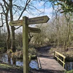 Moore Nature Reserve - Warrington