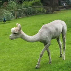 Walton Hall and Gardens - Warrington