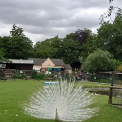 Walton Hall and Gardens - Warrington