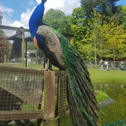 Walton Hall and Gardens - Warrington