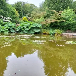 Walton Hall and Gardens - Warrington