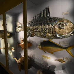 Warrington Museum & Art Gallery - Warrington