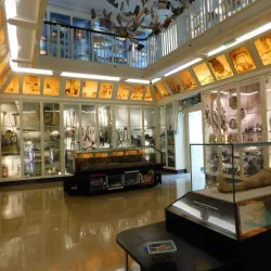 Warrington Museum & Art Gallery - Warrington