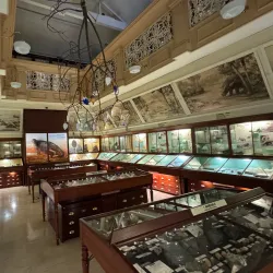 Warrington Museum & Art Gallery - Warrington