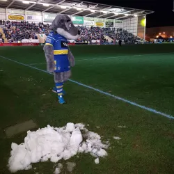 Warrington Wolves Rugby League Club - Warrington
