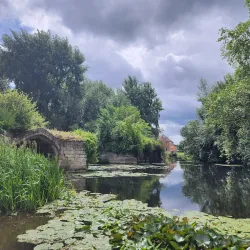 Mill Garden - Warwick