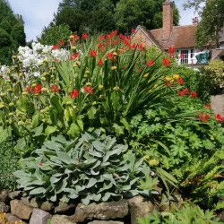 Mill Garden - Warwick