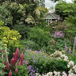 Mill Garden - Warwick