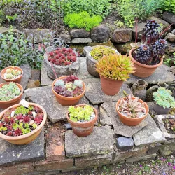 Mill Garden - Warwick