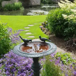 Mill Garden - Warwick