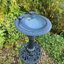 Mill Garden - Warwick